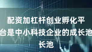 配资加杠杆创业孵化平台是中小科技企业的成长池